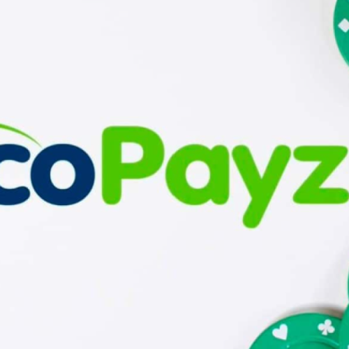 Ecopayz: Solução Completa para Transações Financeiras